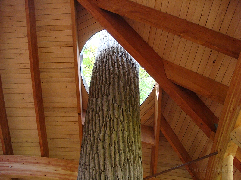 096 Longwood Gardens [2008 August 23].JPG - Longwood Gardens in Pennsylvania